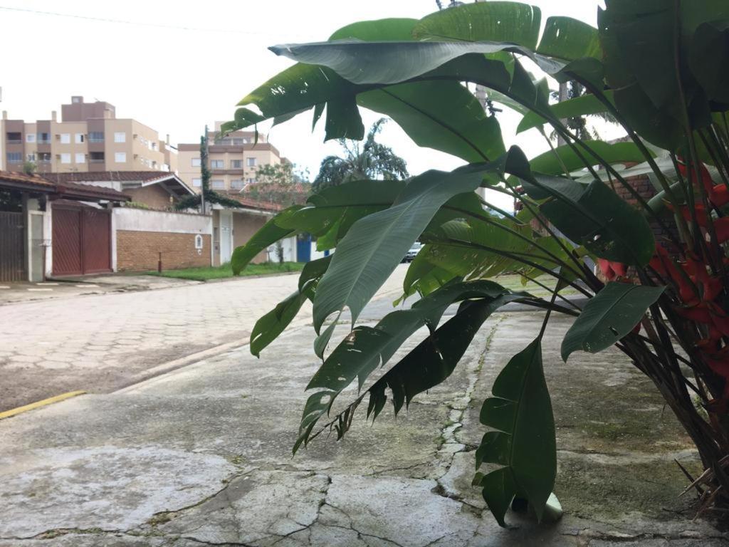 Efferus Hostel Ubatuba Bagian luar foto